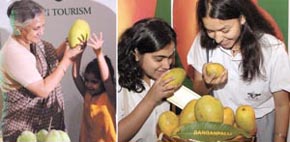 GOING BANANAS OVER THE KING OF FRUIT