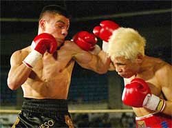 World Boxing Council light flyweight challenger Jorge Arce of Mexico (L) punches champion Choi Yo-sam of South Korea 