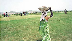 Work in progress at the 18-hole golf course in Sector 3, Panchkula. 