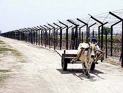 A farmer with his bullock cart moves along the Indo-Pak border fence 