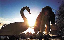 DUCKING THE SUNLIGHT