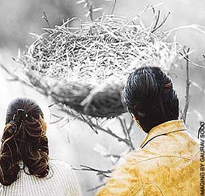 Coping with the empty nest