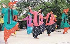 Artistes perform bhangra at the CIPA carnival in Rock Garden, Chandigarh, on Sunday.
