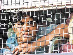 A DMC worker looks out from the window grill of a police bus on way to Central Jail 