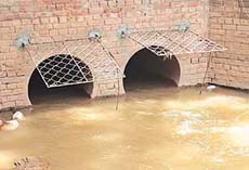 Fences put up at the end of the Banur canal were lifted, giving an open invitation to stray dogs to enter the Chhat Bir zoo premises. 