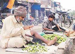 As unripe mangoes are in great demand,