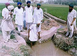 A farmer of a Bathinda village shows the low level of water at the tail end of a rajwaha on Monday.