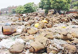 Queen Distillery Private Limited, Industrial Area, Phase II, is using a park and nearby roads for storing empty bottles