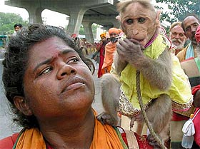 A pilgrim looks at her monkey