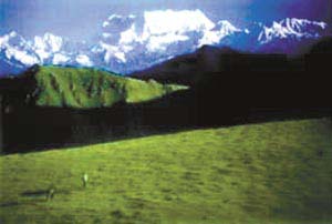 A majestic view of the hills. 