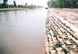 Sand bags (filled with earth) laid along the banks of the UBDC canal system stand damaged at several places.