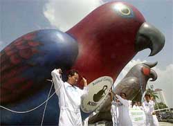 Animal conservation activists display large balloons