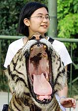 Bashan, a 9-year-old tiger, yawns beside a Chinese visitor