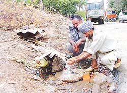 It is not a spring, but a leaking water pipeline in the Industrial Area, Phase I, Chandigarh, from where people have been drinking.