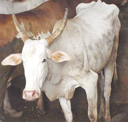 She needs treatment, not pushing along.