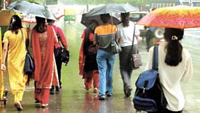 Delhiites sprang to life after the rains. 