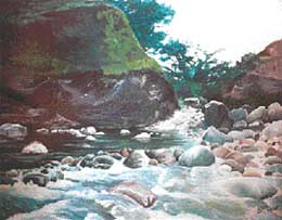 A painting by Nikhil Sanger displayed in IndusInd Art Gallery