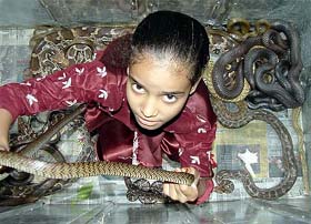 An Indian girl stands in a box full of snakes