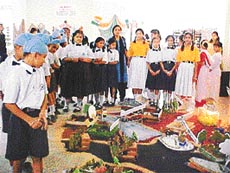 Students of Guru Nanak International School at a science, art and craft exhibition