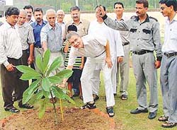 Mr S.D. Bhambri, former General Manager, The Tribune, plants a sapling on the Gurukul school campus in Panchkula on Sunday.