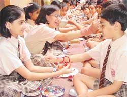 Brotherly classmates