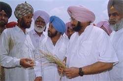 Gurmail Singh, a farmer of Harkishanpura village, telling his tale of woes