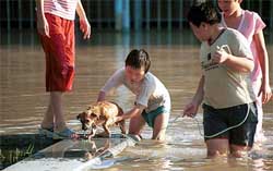 Chinese children help a dog