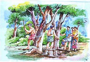 "Trees are like your legs--don't cut them"