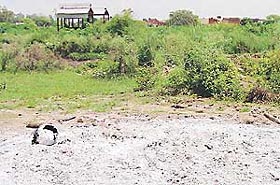 Parts of a partially burnt body lie near the Baltana highway link road, with the proper crematorium in the background