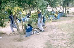 Students of Government High School, Lang, clean utensils during class hours