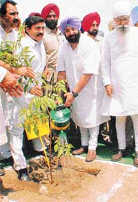 Capt Amarinder Singh, Chief Minister, Punjab, plants a sapling 
