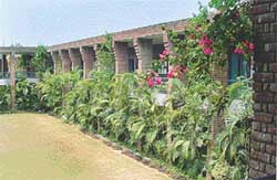 Greenery dominates the campus of GRD Academy