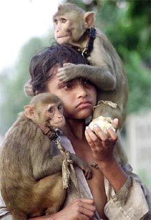 An Indian street entertainer