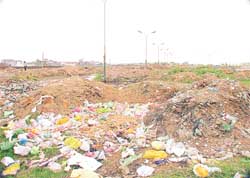 The Mandi Board ground in New Kitchlu Nagar, that is being used as a dumping ground by the Ludhiana Municipal Corporation