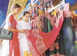 Visitors at a stall at the NZCC mela