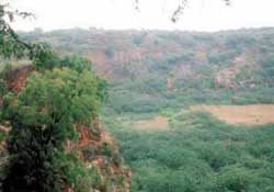 The ecological balance is on the verge of being restored in the ravaged part of Bhatti mines 