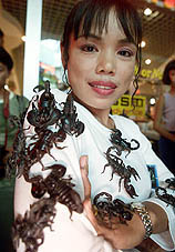 Kanchana Ketkaew, a 30-year-old Thai stunt woman, sits in a glass room