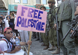 Foreign demonstrators holding a poster saying " Free Palestine" are stopped by Israeli soldiers
