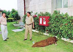 A police personnel inspects the body of Mamta Bakshi