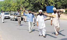 Agitating farmers fetch timber for their community kitchen 