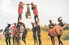 Dhol dance: Rhythmic beats