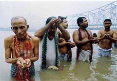 People offering Tarpan 
