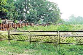 Hundreds of empty drums and wild vegetation in the Sector 46 green belt