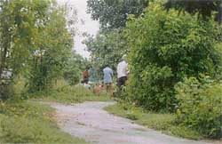 An engrossing game of cards in progress in the municipal park along the Metro Road