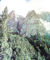 Lush green hills and valleys