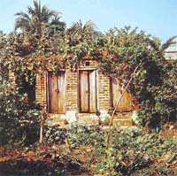 A photograph by David Giancatarina of France displayed at Alliance Francaise Art Gallery