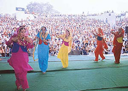 Girls perform giddha at the concluding function of Prof Mohan Singh Mela at Punjabi Bhavan in Ludhiana on Sunday.