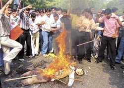 NSUI activists burn an effigy of Praveen Togatia, international general secretary, VHP