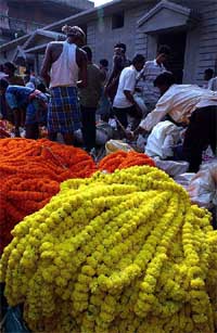 Wholesale flower market