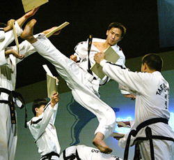 North Korean crushes wood during a taekwondo performance